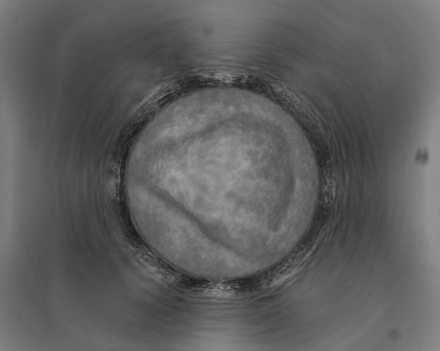 X0000095120656200712301801