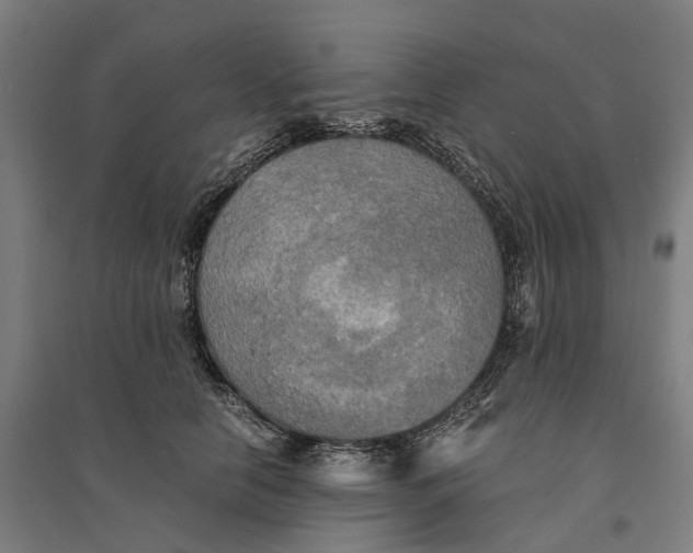 X0000095120658200712301801