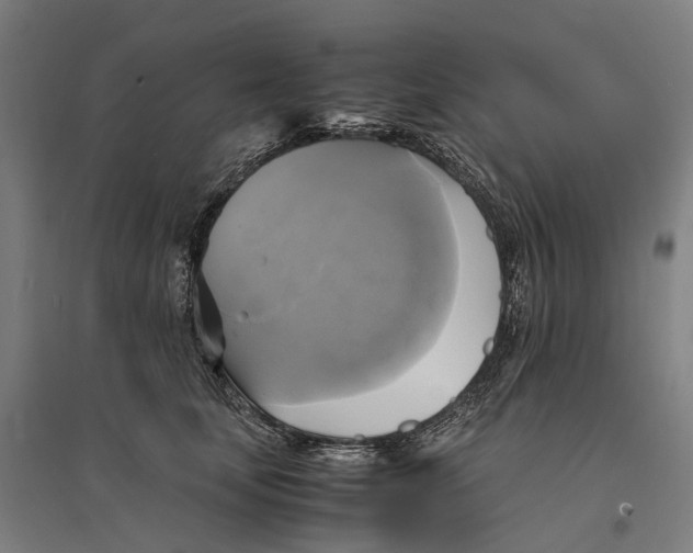 X0000095120659200712301801