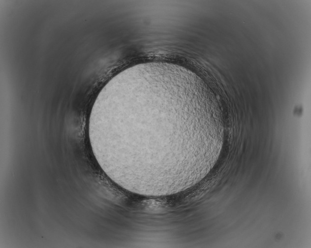 X0000095120660200712301801