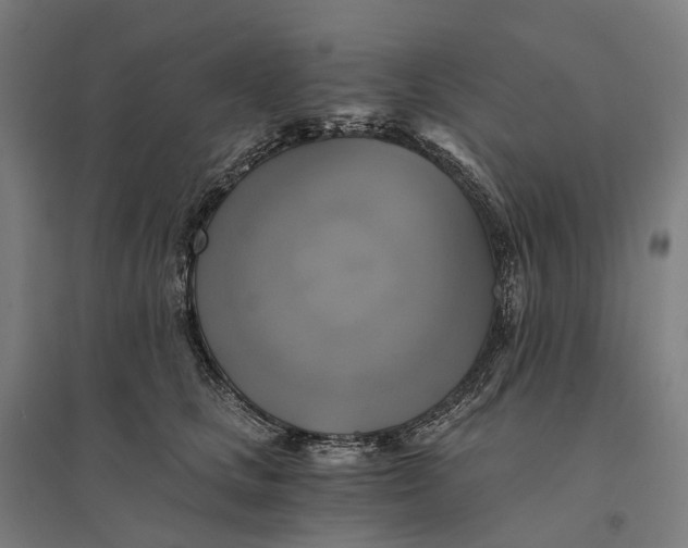 X0000095120661200712301801