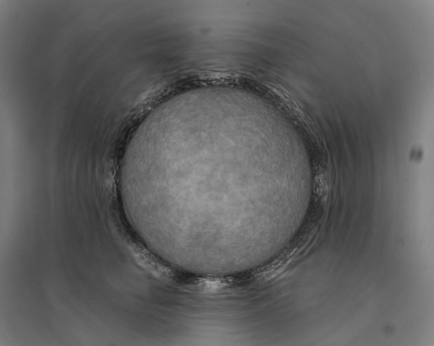 X0000095120662200712301801