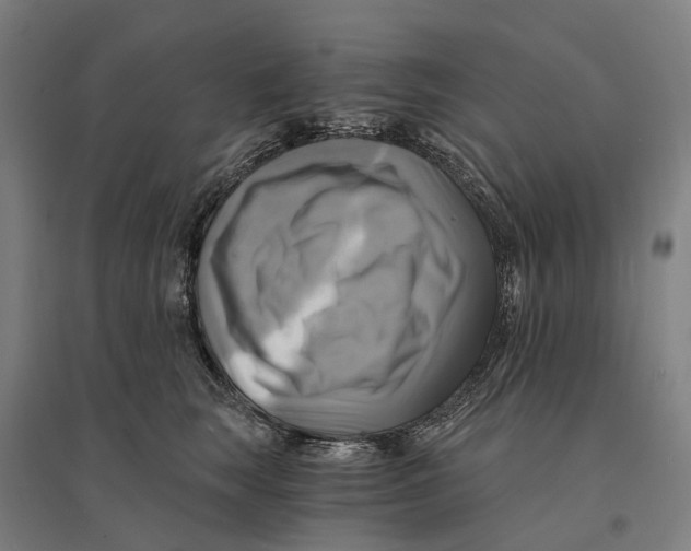 X0000095120663200712301801