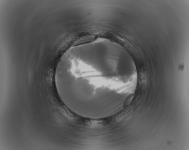 X0000095120664200712301801