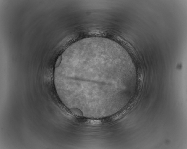 X0000095120665200712301801