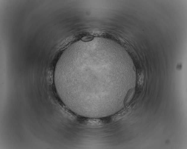 X0000095120666200712301801