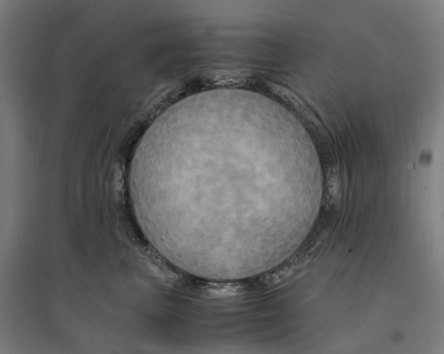 X0000095120667200712301802