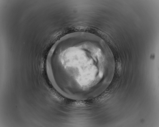 X0000095120668200712301802