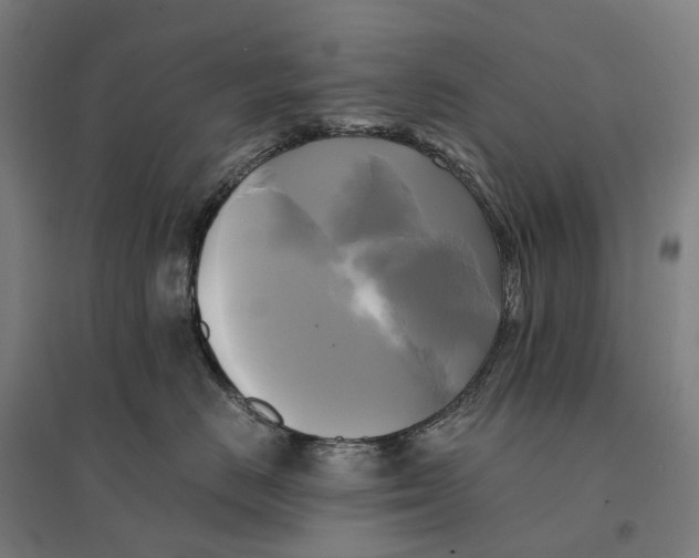 X0000095120670200712301802