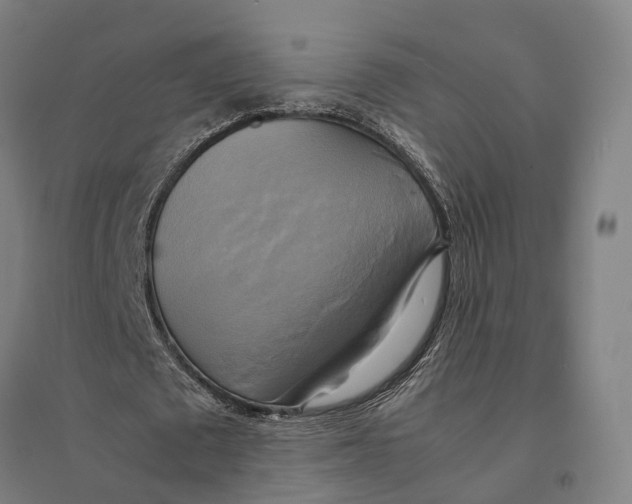 X0000095120673200712301801