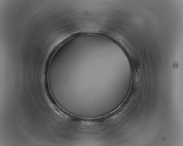 X0000095120677200712301801