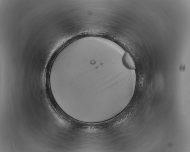 X0000095120678200712301801