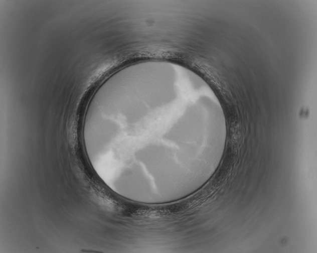 X0000095120679200712301801