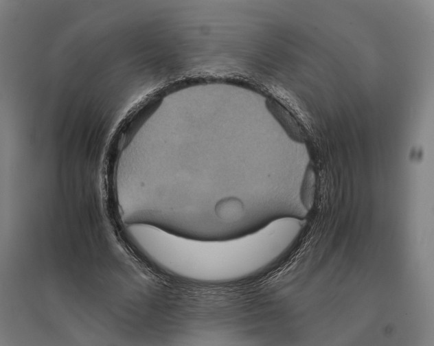 X0000095120680200712301801