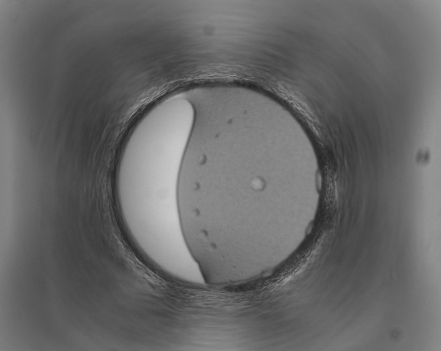 X0000095120681200712301801