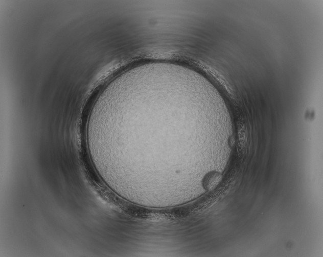 X0000095120682200712301801