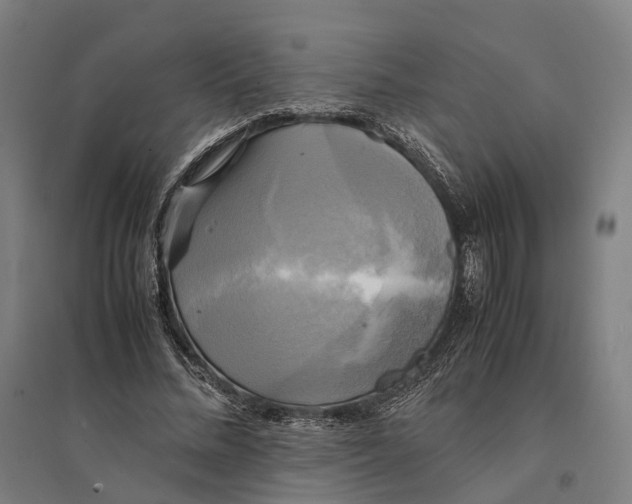 X0000095120684200712301801