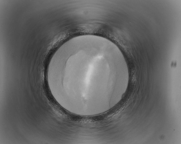 X0000095120685200712301801