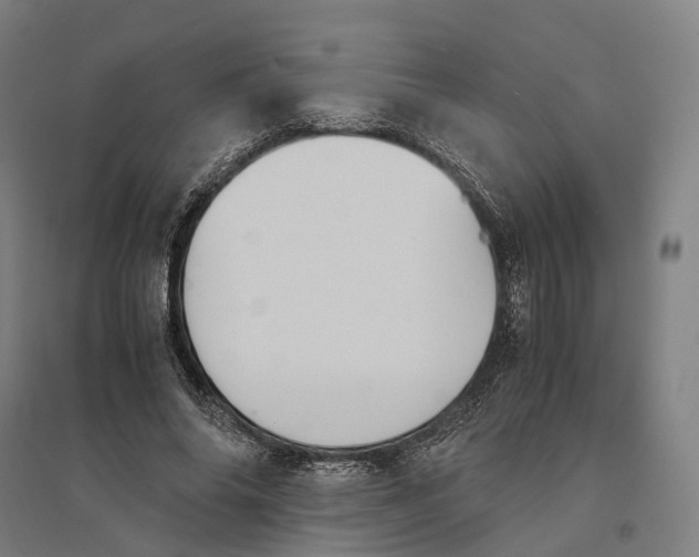 X0000095120686200712301801