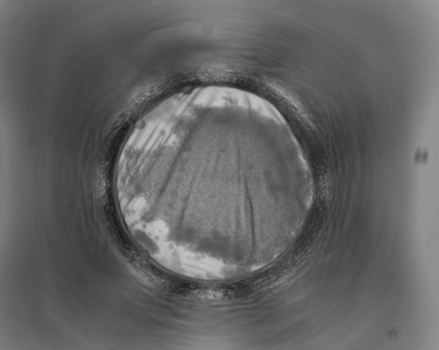 X0000095120687200712301801