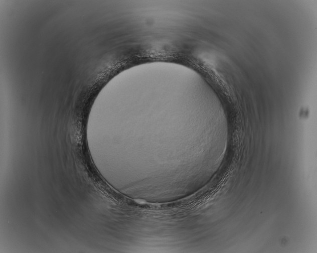 X0000095120689200712301801