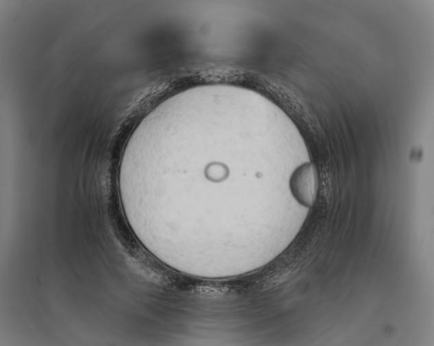 X0000095120690200712301801