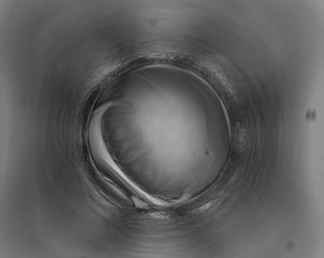 X0000095120692200712301801