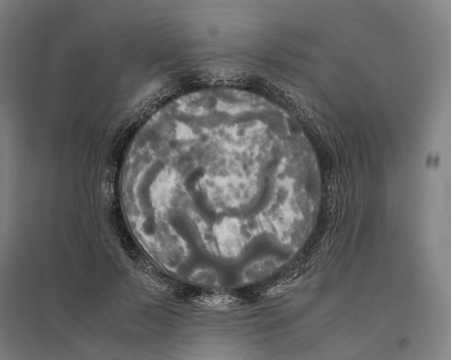 X0000095120695200712301801