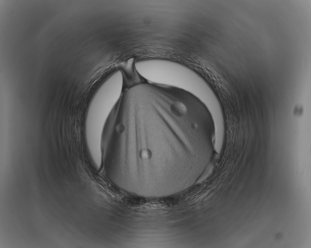 X0000095120696200712301801