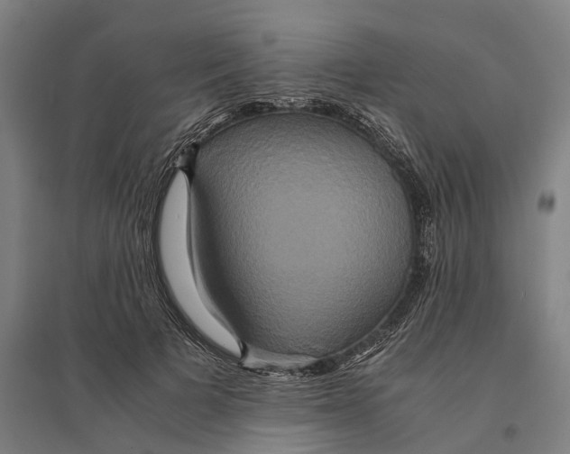 X0000095120697200712301801