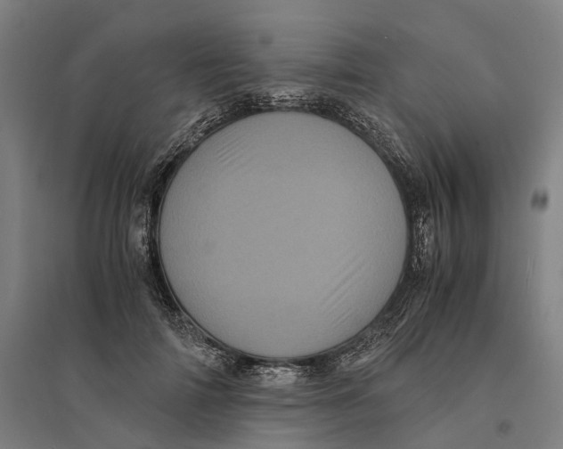 X0000095120698200712301801