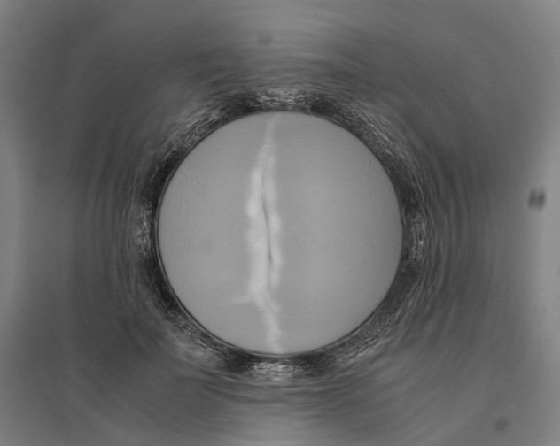 X0000095120699200712301801