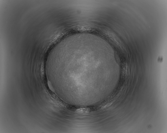 X0000095120700200712301801