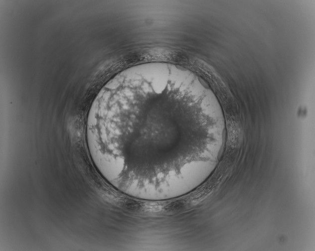 X0000095120701200712301801