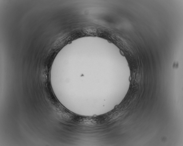 X0000095120702200712301801