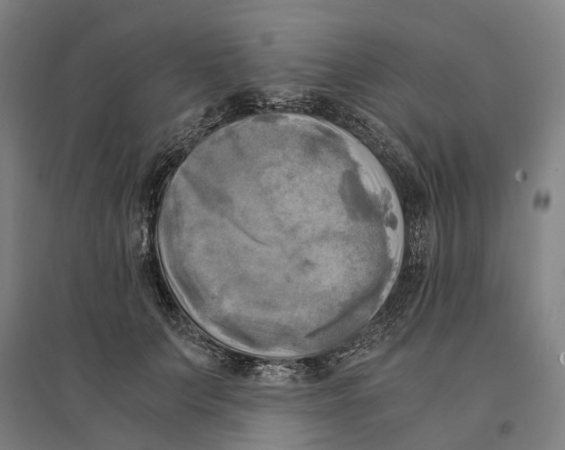 X0000095120703200712301800