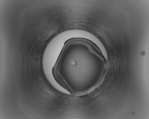 X0000095120704200712301800