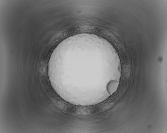 X0000095120705200712301800