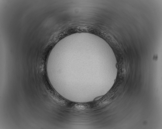 X0000095120706200712301800