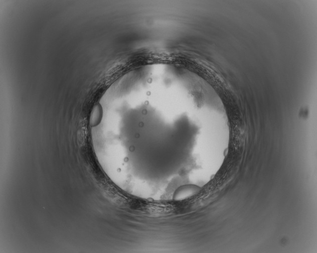 X0000095120707200712301800