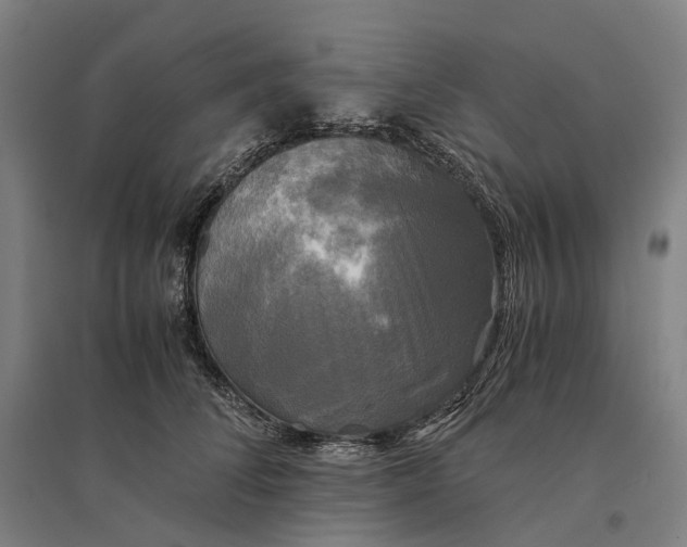 X0000095120708200712301800