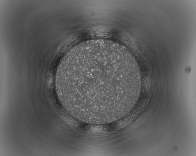 X0000095120709200712301800