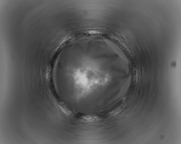 X0000095120712200712301800