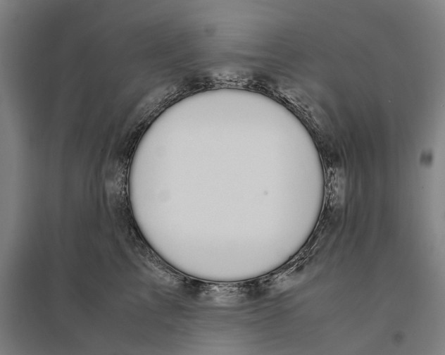 X0000095120713200712301800