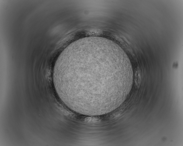 X0000095120714200712301800