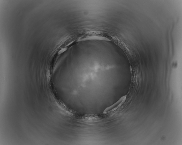 X0000095120716200712301800