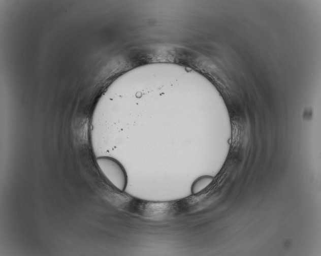 X0000095120717200712301800