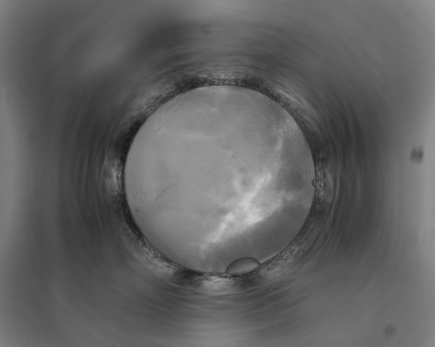 X0000095120718200712301800