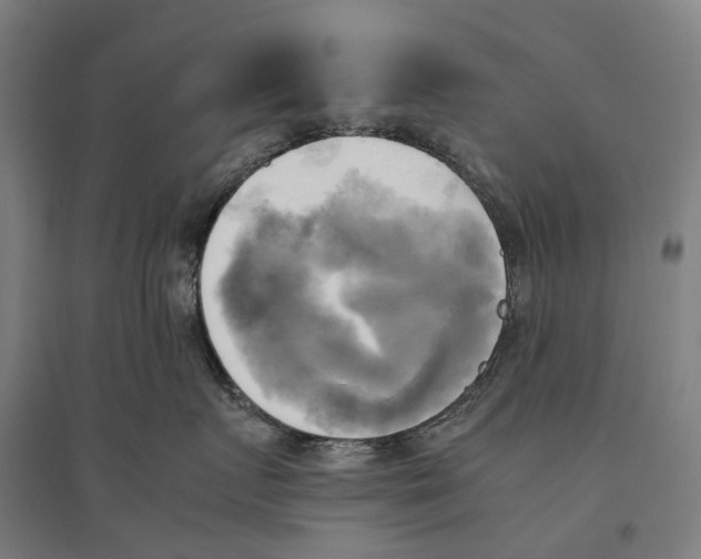 X0000095120719200712301800