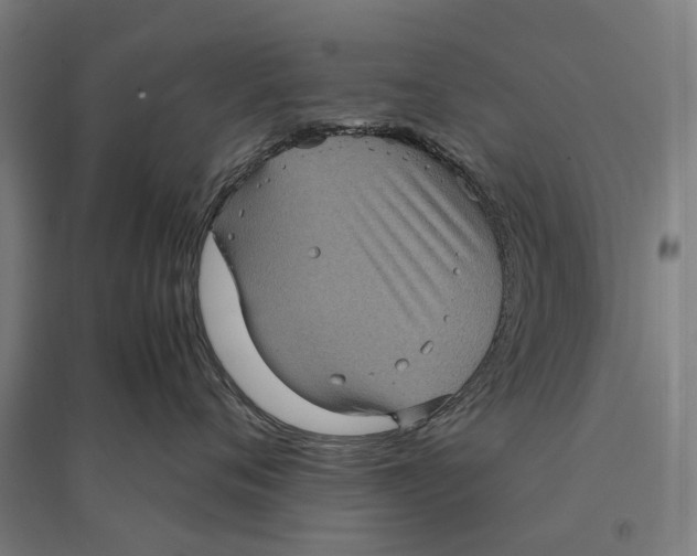 X0000095120720200712301800